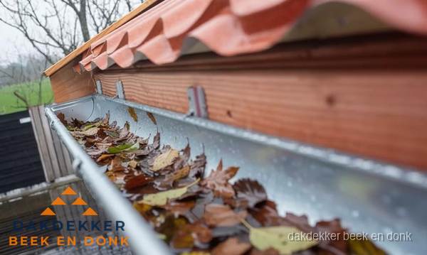 Dakgoot vol bladeren die gereinigd moet worden in Beek en Donk Dakgoot vol bladeren die gereinigd moet worden in Beek en Donk