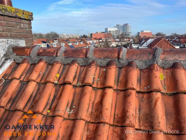 Pannendak met nokvorst en schoorsteen, dakrenovatie in Beek en Donk