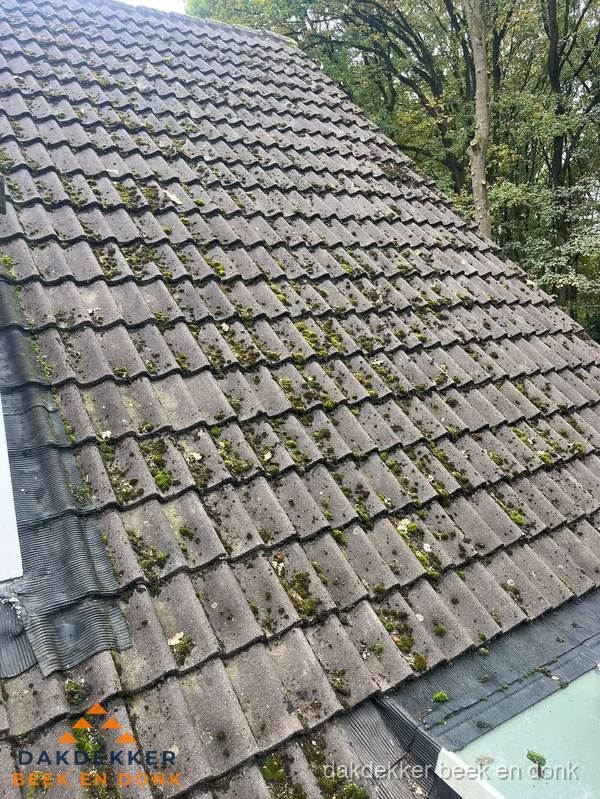 Verweerd pannendak met mosgroei dat renovatie nodig heeft in Beek en Donk